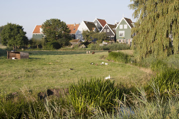 Fototapeta premium The big Yard (werf)