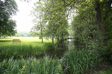 Stream in Woods Chateau, de l&rsquo;islette, France