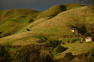 Fototapeta premium Cali hills 