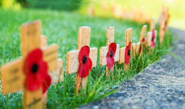 Remembrance Poppies on wooden crosses on green grass with low depth of field