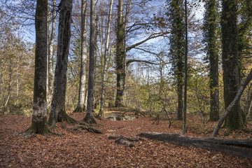 Obraz premium Landschaft in Kroatien