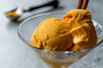Pumpkin Pie Ice Cream Gelato with Cinnamon Stick.