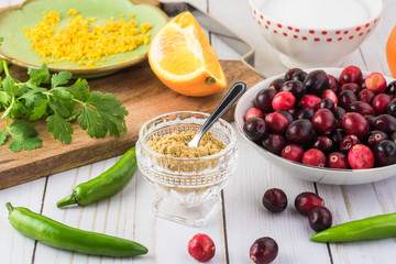 Homemade fresh cranberry salsa.