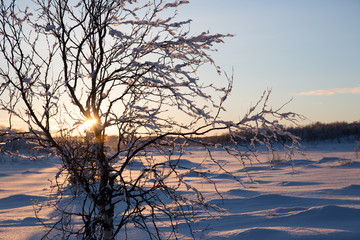 Fototapeta na wymiar Atardecer helado en Laponia, Finlandia