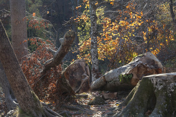 Obraz premium Landschaft in Kroatien