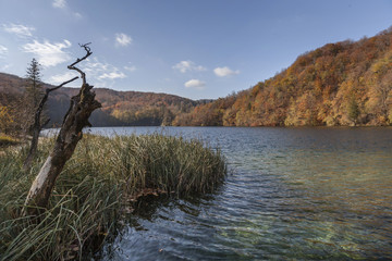 Fototapeta premium Landschaft in Kroatien