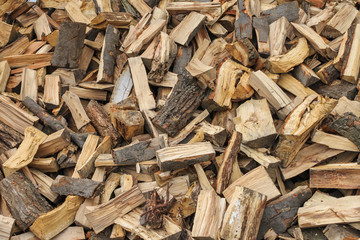 mehrere Holzstücke als Brennmaterial