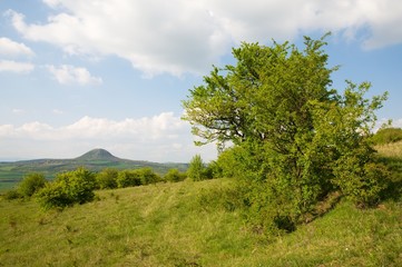 Fototapeta na wymiar Hill Mila in the Ceske Stredohori, Northern Bohemia, Czech republic