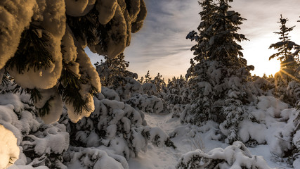 Winterlandschaft am Morgen