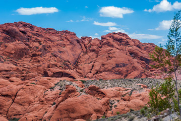 Red Rock Canyon, USA.