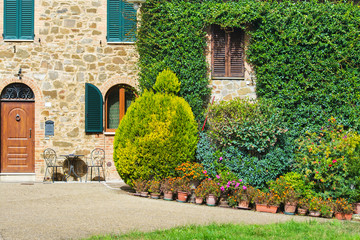 Fototapeta na wymiar plants in a courtyard