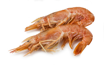 Marisco,gambas crudas