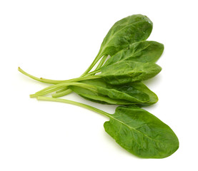 Fresh leaves of spinach