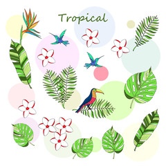 Obraz premium Floral tropical leaves