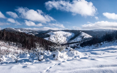 Fototapeta na wymiar winter mountain panorama from Wielky Przyslop hill near Wielka Racza in Zywiec Beskids mountains on polish - slovakian borders