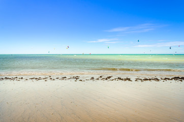Many kite surfers enjoy their loved sport