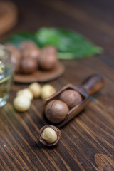 Macadamia nuts in a wooden scoop over the dark table.