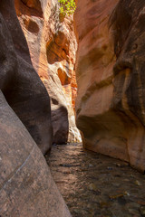 walking in the Kanarra creek Zion national park Utah this must have seen during your vacation in America mustsee