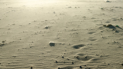 Fototapeta na wymiar Crazy beach terrain similar to other planet