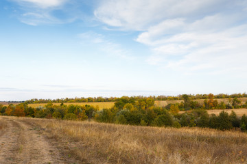 Obraz premium Rural landscape with a dirt road