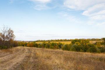 Rural landscape with a dirt road