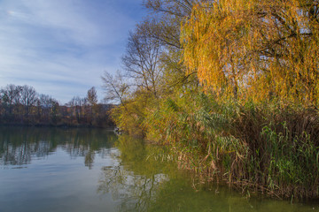 Paysage d'automne