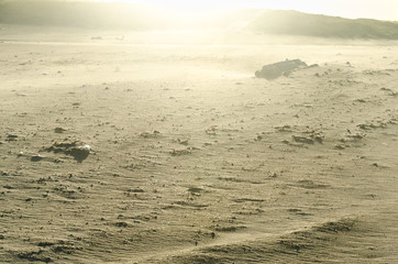 Alien landscape  beach terrain similar to other planet