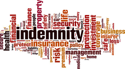 Indemnity word cloud concept