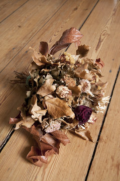 Withered Flowers on the Floor