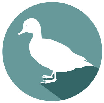 Duck flat design icon vector eps 10
