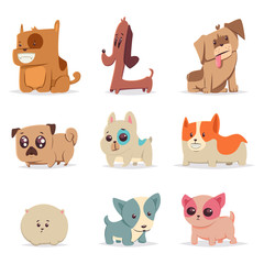 Cute funny puppies set. Dog cartoon vector character. Home pets illustration isolated on a white background.
