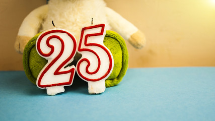 Figures "2" and "5" and a soft toy concept of a birthday, anniversary