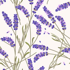 Fototapeta premium Lavender flowers seamless pattern