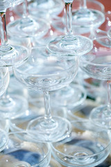 A glass of champagne is brought together.