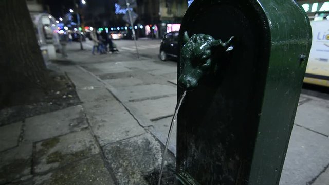 Typical fountain fontanelle in Turin, Italy. Call torus bull or toret in Piedmontese.