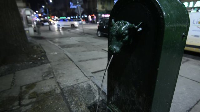 Typical fountain fontanelle in Turin, Italy. Call torus bull or toret in Piedmontese.