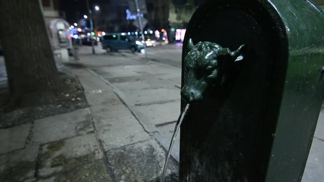 Typical fountain fontanelle in Turin, Italy. Call torus bull or toret in Piedmontese.