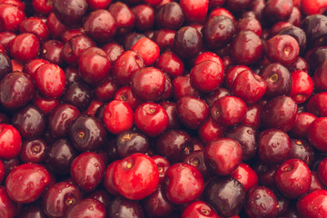 Cherry.  Fruit background