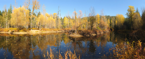 Fall colors around Moose Lake in Northern Idaho