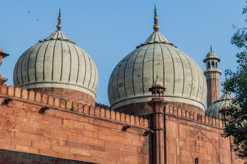 Fototapeta na wymiar Cupolas of Jama Masjid mosque in Delhi, India