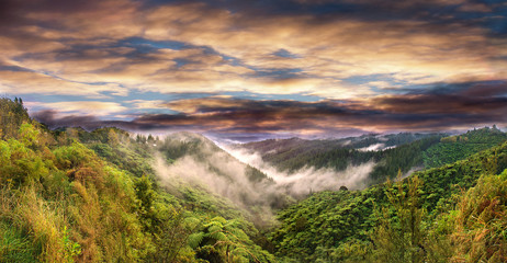 Cloudy sky and mist over the trees in a Primal forest of New Zealand
