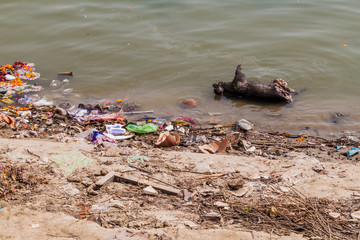 Decaying dead pig in river Ganges in Varanasi, India