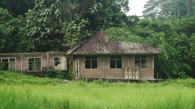 House in the Jungle, rice field Bali Indonesia