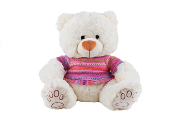White teddy bear in colorful t-shirt