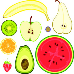 Vector illustration of various simple fruits cut in half. 