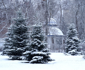  gazebo among the Christmas trees in a snowy forest