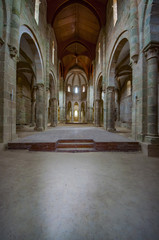 Fototapeta na wymiar Monastery of The Carboeiro's St Lawrence
