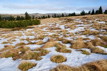 Violik and cottage near Snezne jamy in the Giant Mountains ,Eastern Bohemia, Czech republic