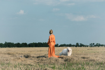 Beautiful woman in a long orange dress with white dog in the field. Samoyed