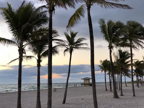 Beachfront Dawn